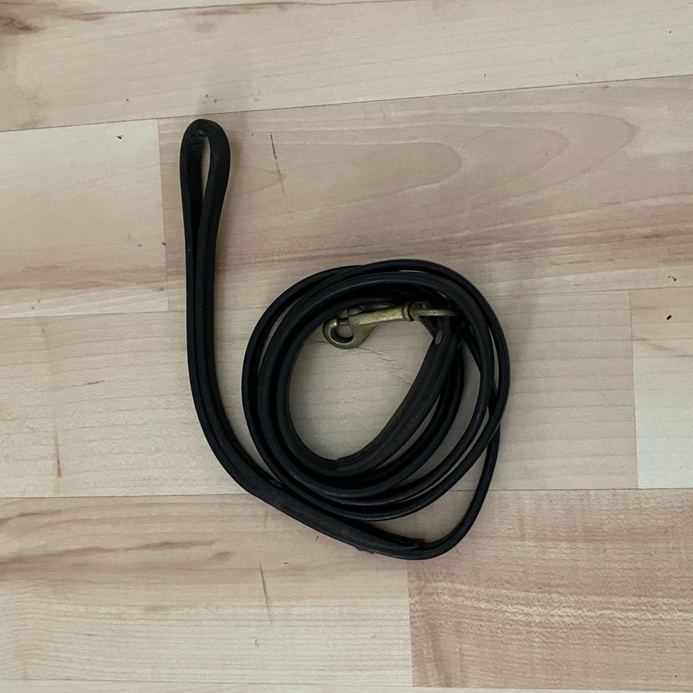 Well-Loved Leather Dog Leash